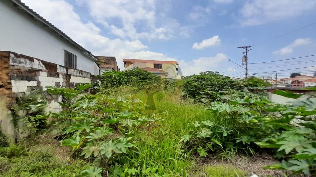 Imagem da propriedade 8