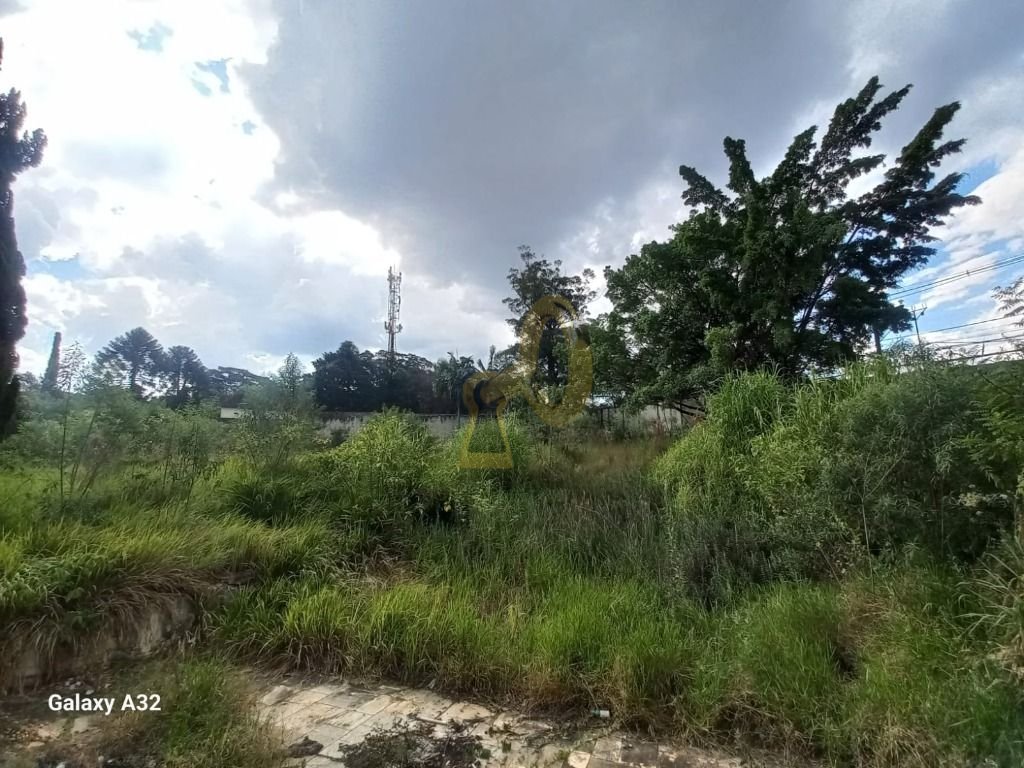 Imagem da propriedade 11