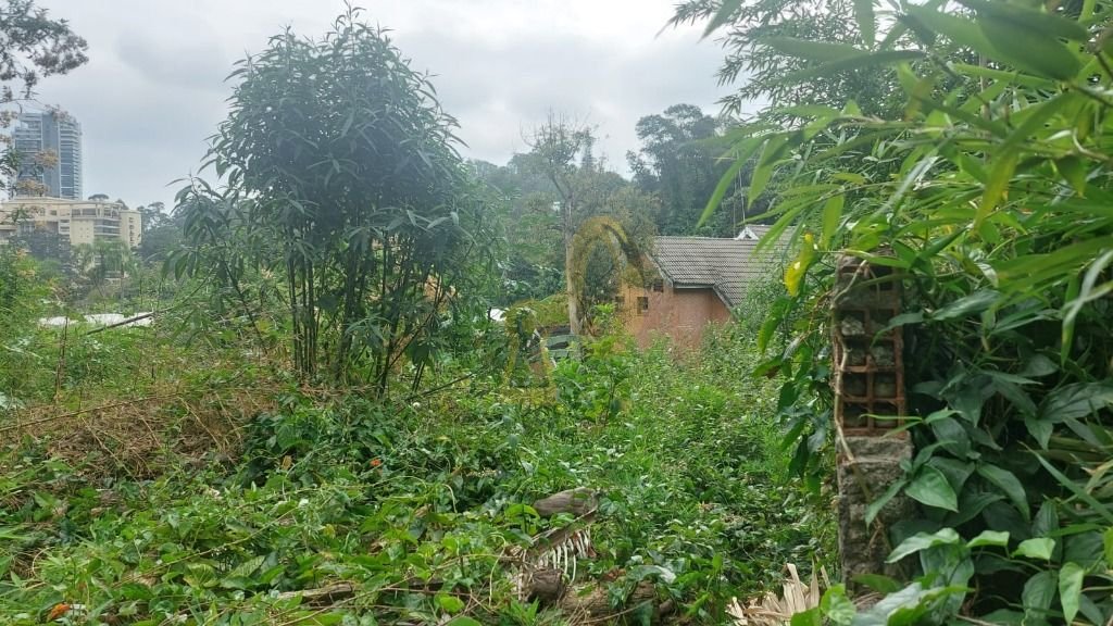 Imagem da propriedade 4