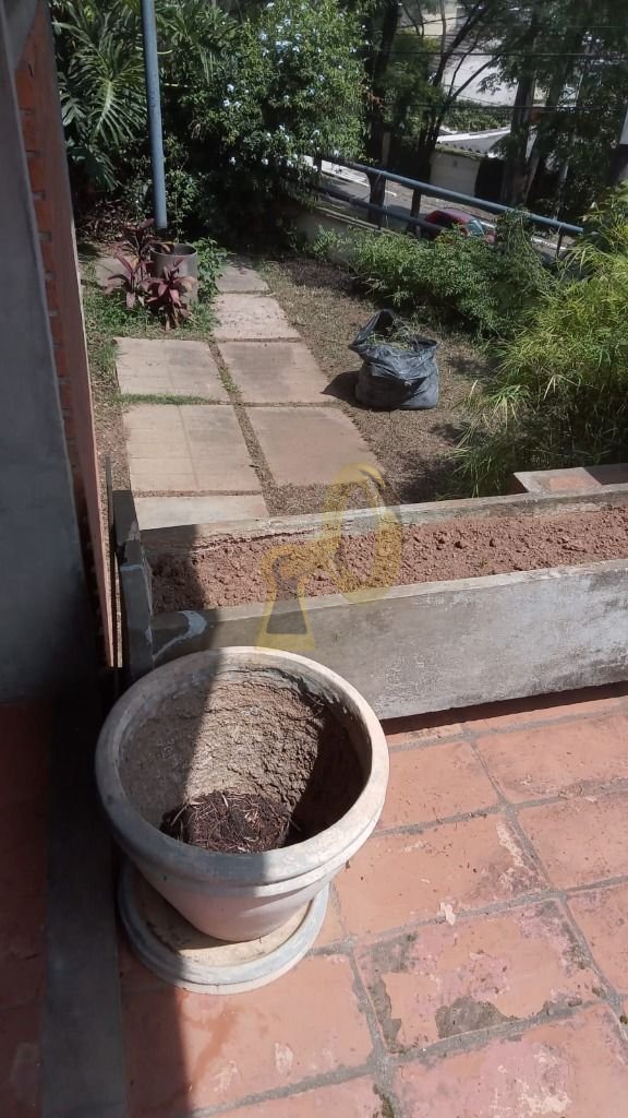 Imagem da propriedade 10