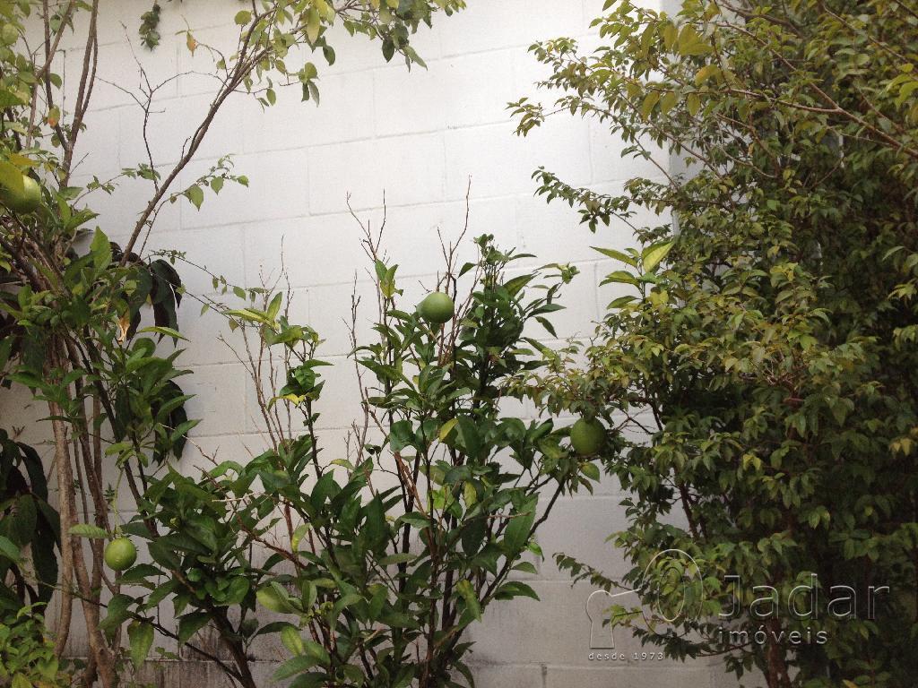 Imagem da propriedade 7