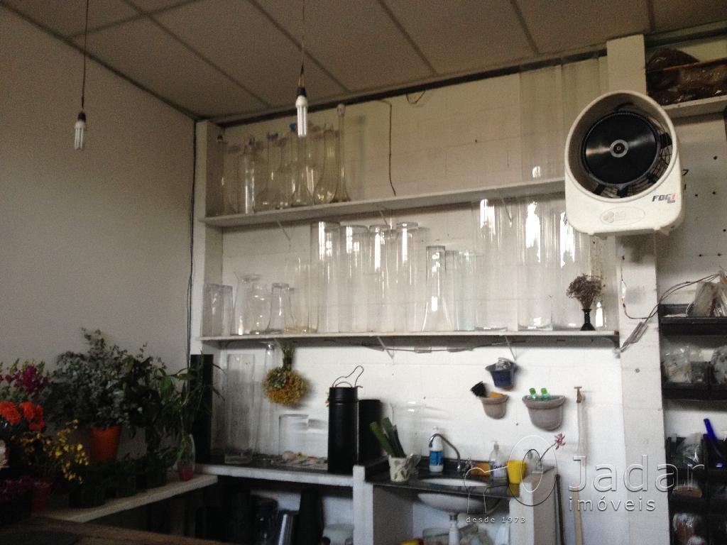 Imagem da propriedade 6