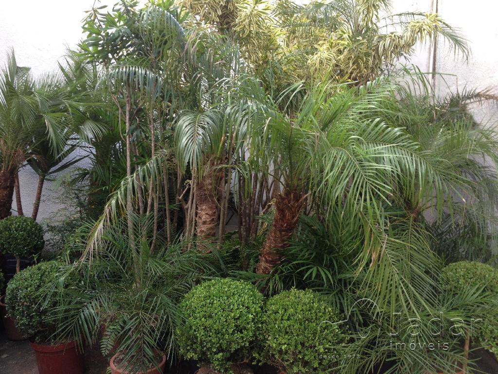 Imagem da propriedade 2