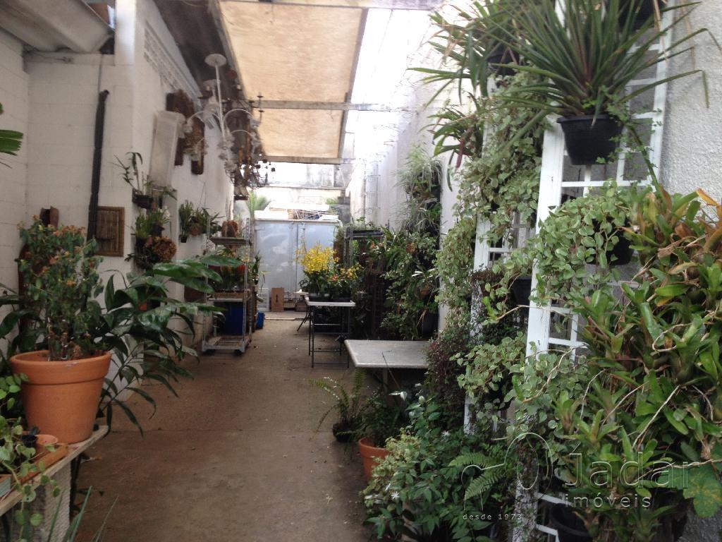 Imagem da propriedade 3