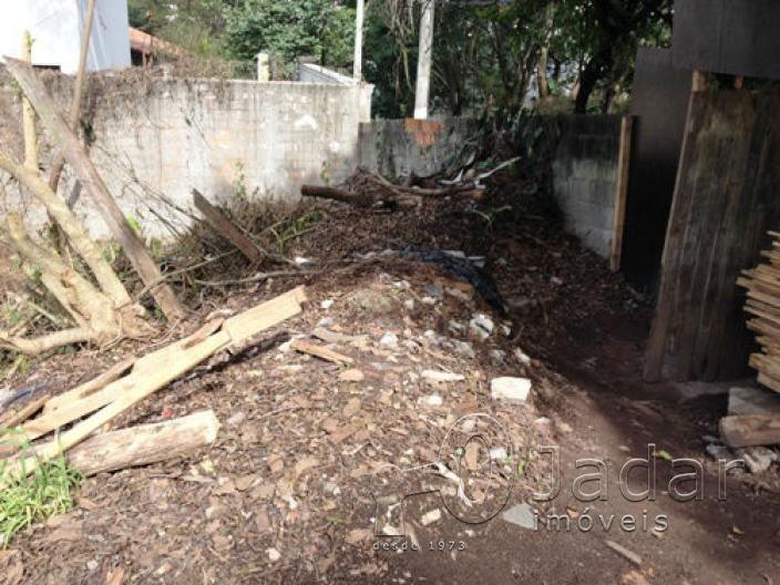 Imagem da propriedade 4