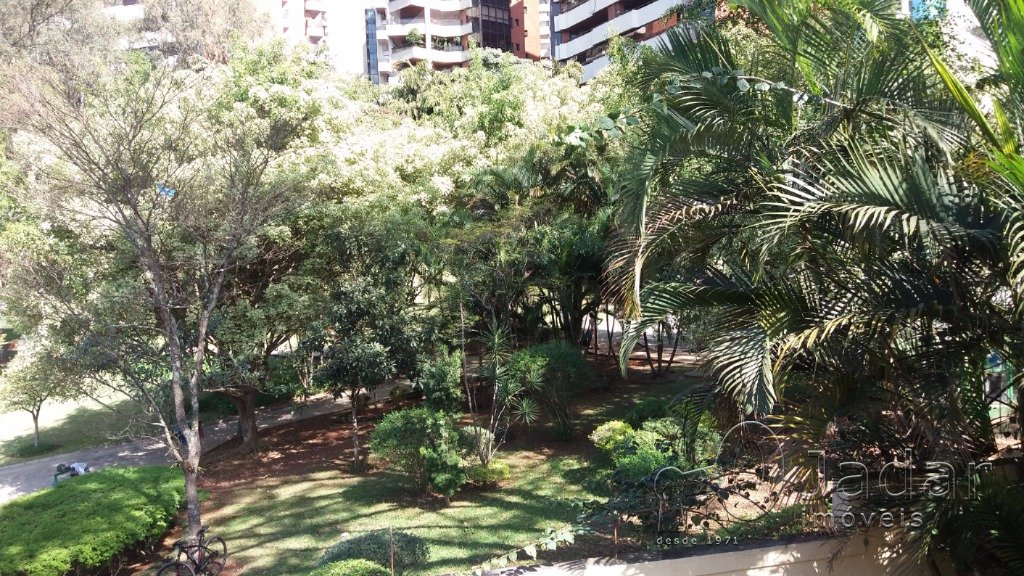 Imagem da propriedade 3