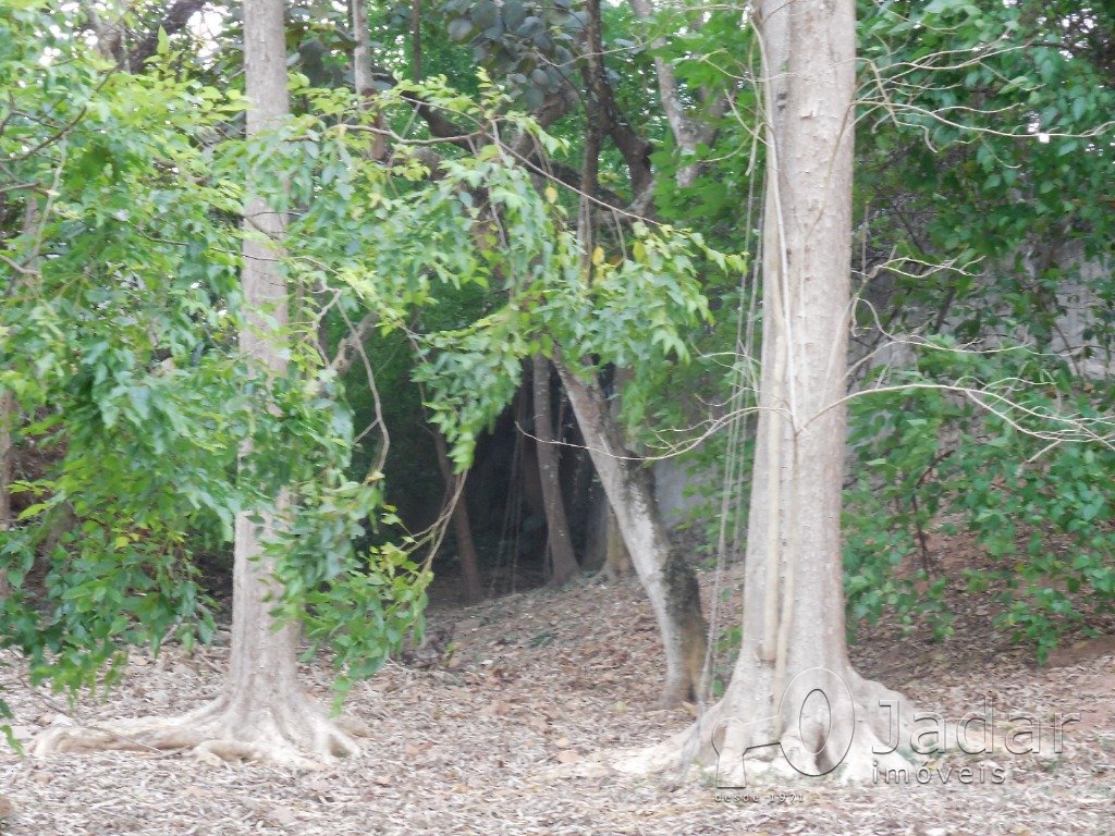 Imagem da propriedade 6