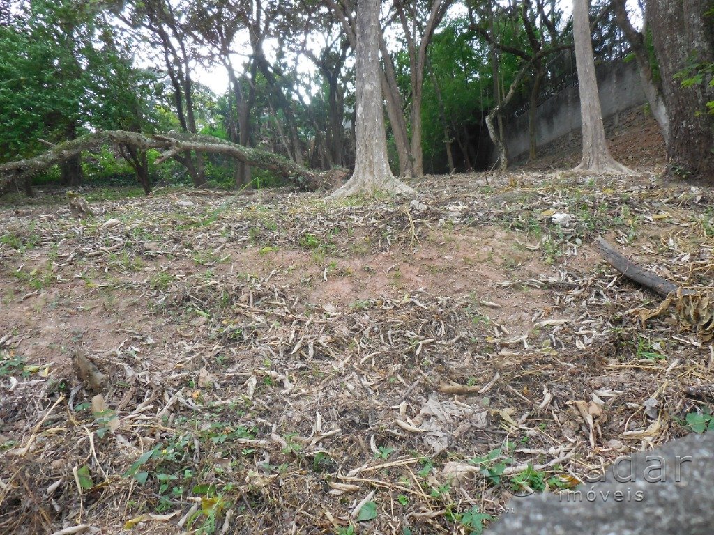 Imagem da propriedade 4