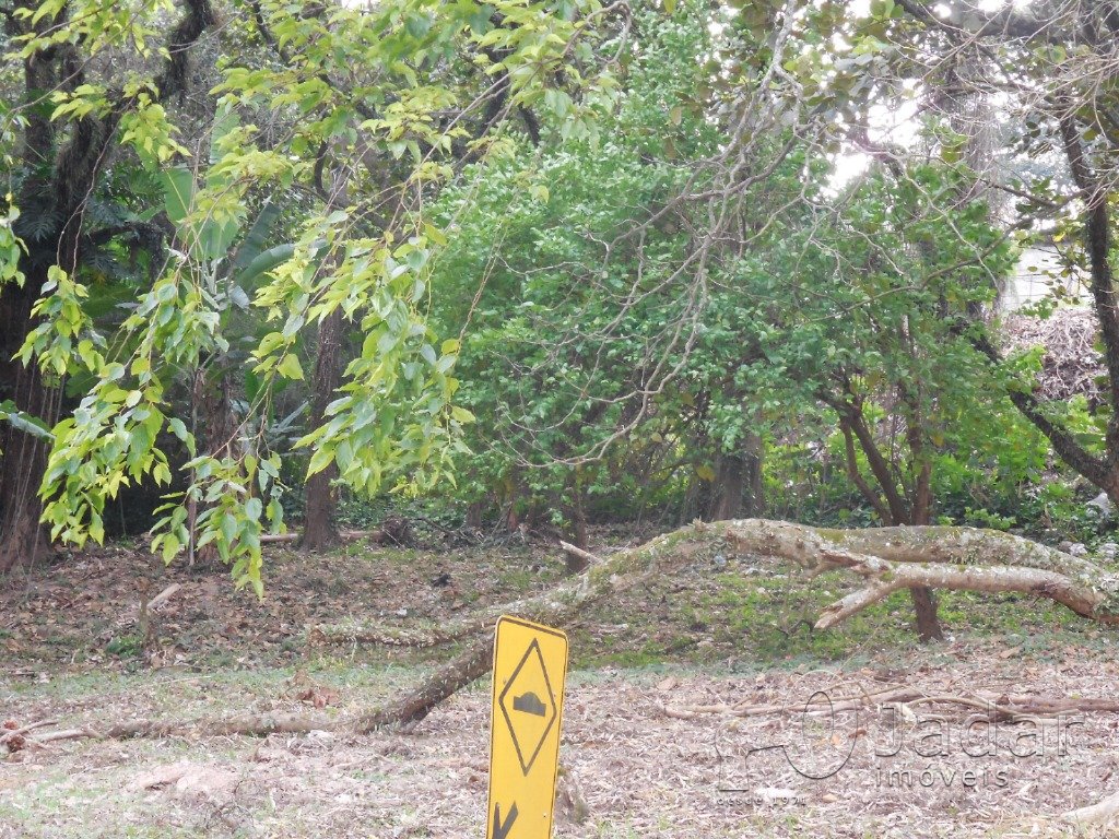 Imagem da propriedade 5