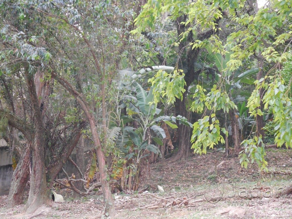 Imagem da propriedade 7