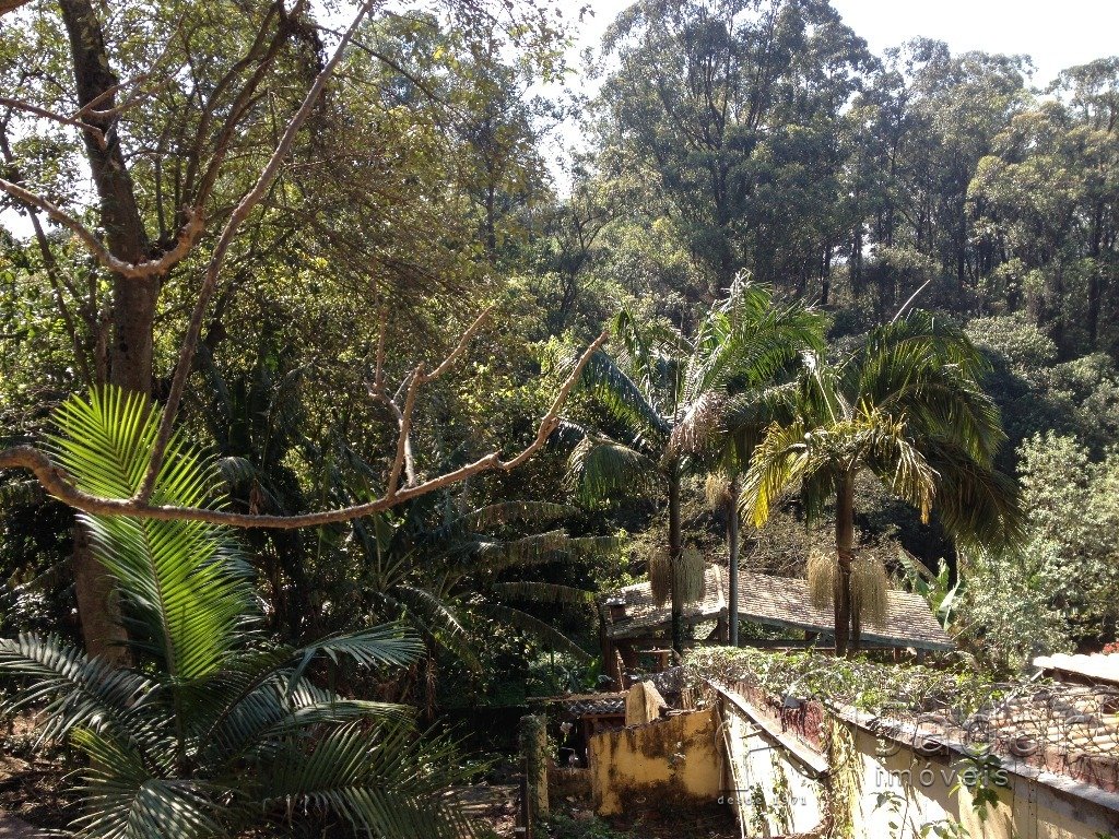Imagem da propriedade 3