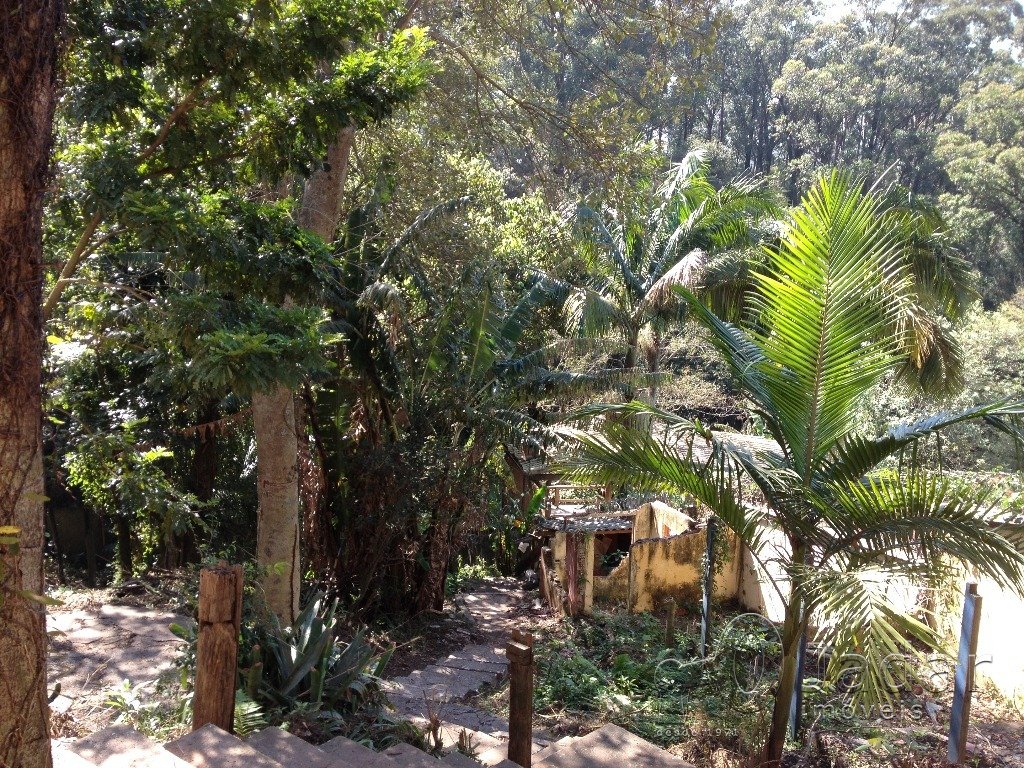 Imagem da propriedade 8