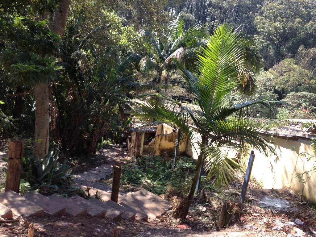 Imagem da propriedade 14